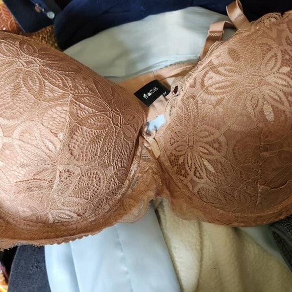 RENE ROFE SET OF 2 LIGHTLY PADDED UNDERWIRE LACE BRAS 40D ~ NWT - Picture 4 of 4